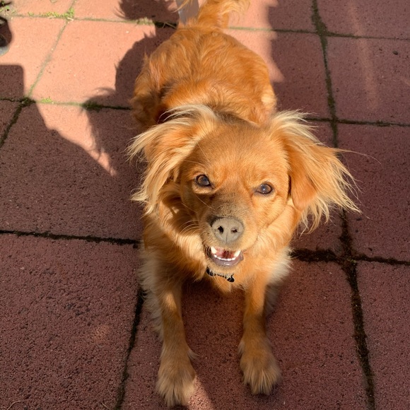 Meet your Posher, Jay - Picture 1 of 1